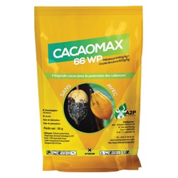 COCOAMAX 66 WP