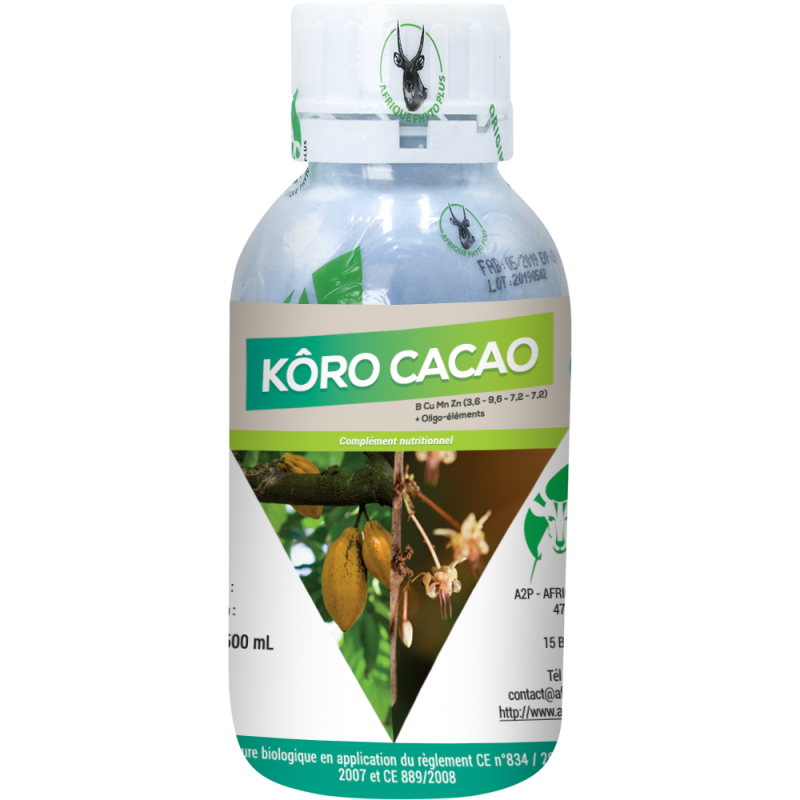 KORO CACAO