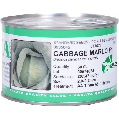 CABBAGE MARLO F1 (CHOU)