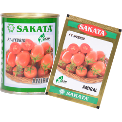 AMIRAL F1 – HYBRID (TOMATE)