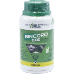 BINCORO 11 OD