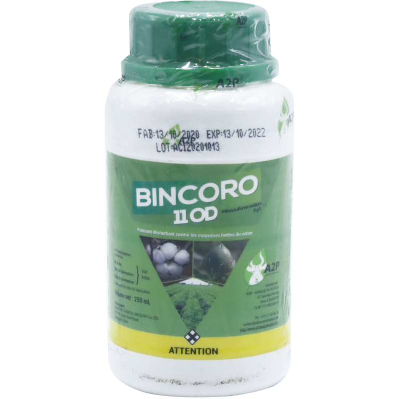 BINCORO 11 OD