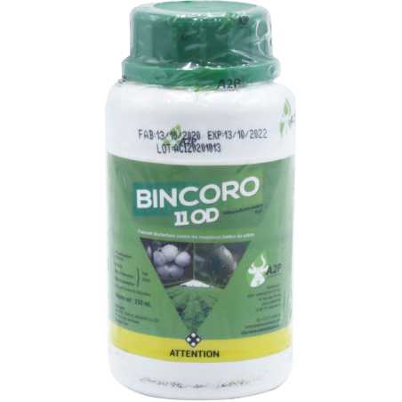 BINCORO 11 OD