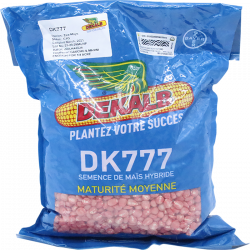 DEKALB DK 777 (Semence hybride de maïs blanc)