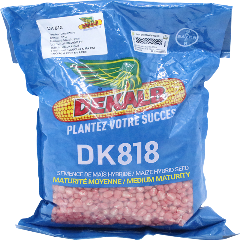 DEKALB DK818 (Semence hybride de maïs jaune)