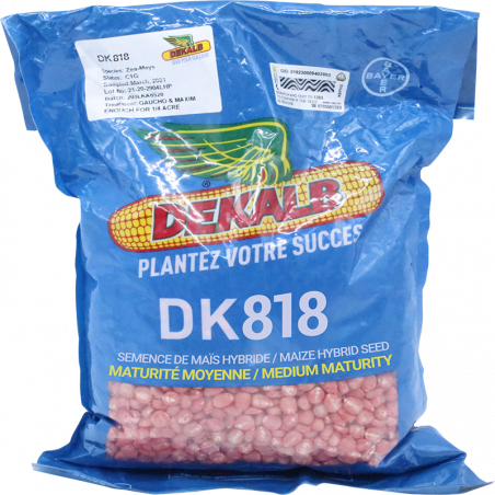 DEKALB DK818 (Semence hybride de maïs jaune)