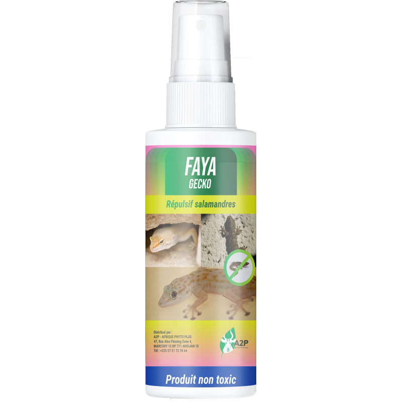 FAYA GECKO