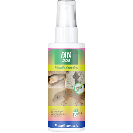 FAYA GECKO