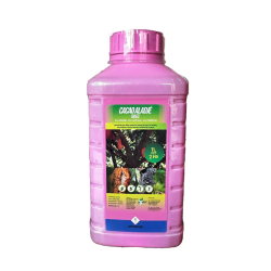 COCOA ALADJE 50 EC