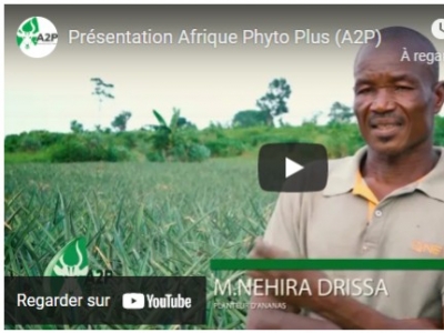 PRESENTATION AFRICA PHYTO PLUS (A2P)